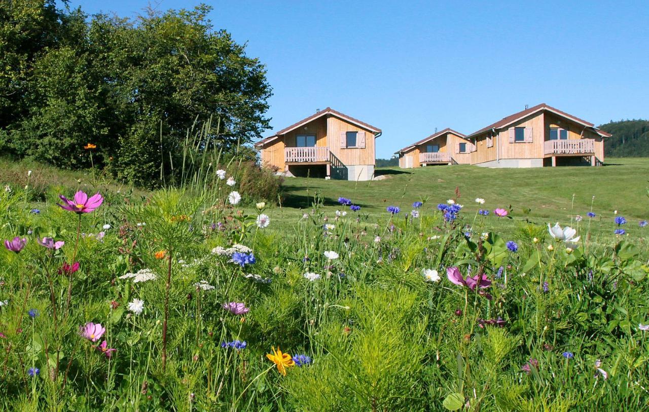 Chalets De Tremontagne 3 Etoiles Nanchez Екстериор снимка